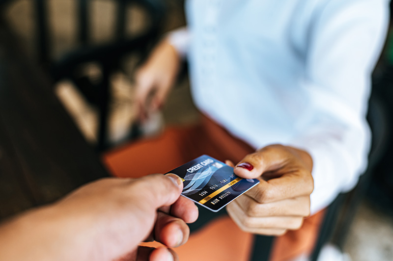 Credit Line Hybrid Program